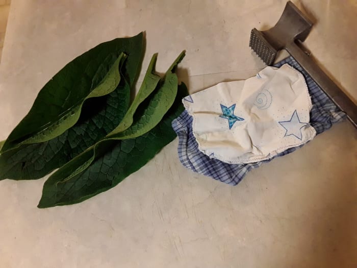 This poultice is so simple. Just comfrey, a rag, and something to hold it on. If desired you can use a long strip for the rag and tie it on with that. This is for a double batch.