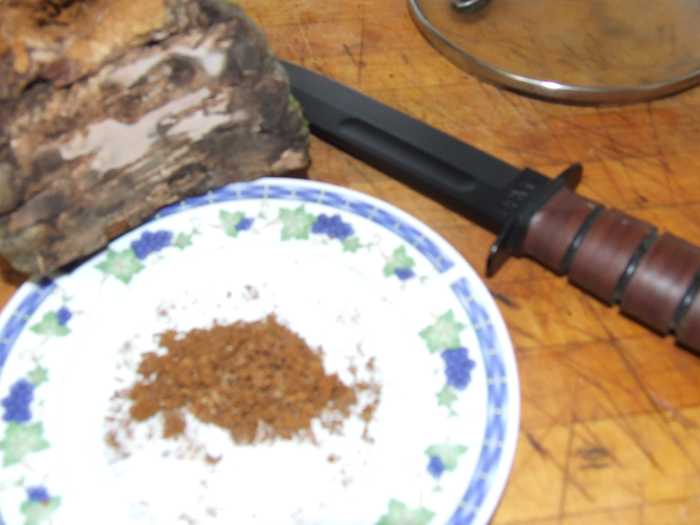 Fomes Fomentarius, or Hoof Fungus Harvesting, Uses and Benefits HubPages