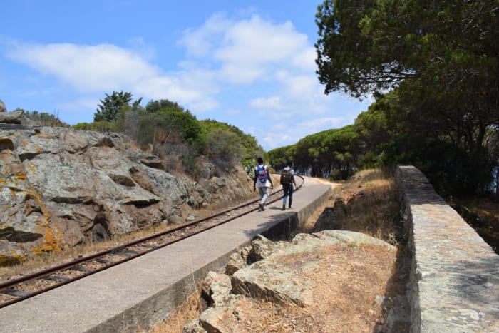 Simply going through life can feel like a one-way track, but it's a path we all must walk. A new journey awaits . . .