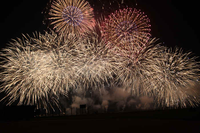 Fireworks can be scary for many dogs