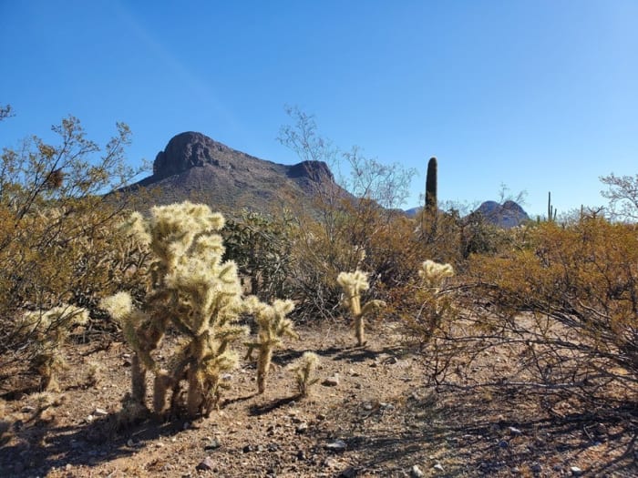 The rugged desert around Picture Rocks, Arizona, where dozens of volunteers and law enforcement searched for Sarah Galloway.