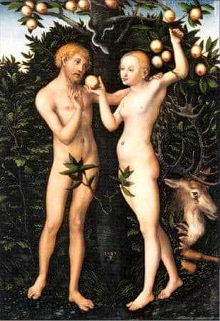 Why shouldn't I give it a try? (the book of Genesis - chapter 3)