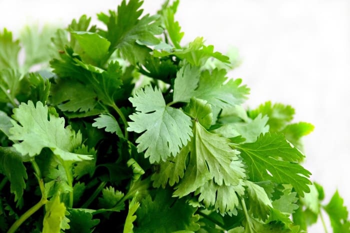 This article will provide information about the names of different types of vegetables in the Polish language.