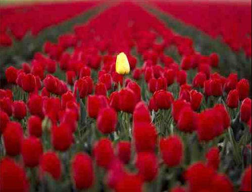 The proper type of walking can cause an individual to stand out and get noticed favorably.