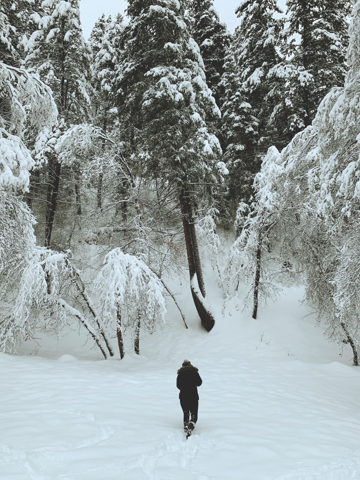Utah has the best snow on earth. The canyon is covered with powdery and white snow. I love to be out in the morning during this time of year.