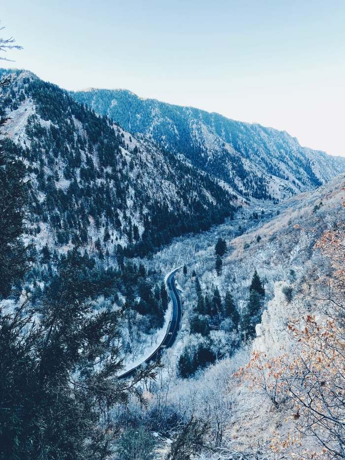 Millcreek Canyon. I took this photo while hiking up on the canyon. It was breathtaking. The air was fresh and I love every minute of it!