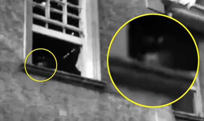 Ghost Hunters caught an image of a spirit in the window of a hospital they were investigating.