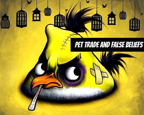 Eliminate Bird sufferings by rejecting the false beliefs that they would make good pets. They look good only in their natural habitat