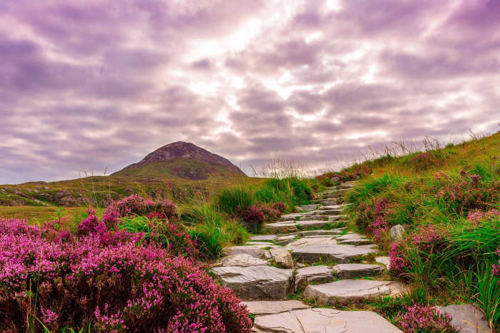 Mind's Journeys to the Unknown May Inspire Wonders Which Even Those Most Pleasant Routines Don't Know Of.