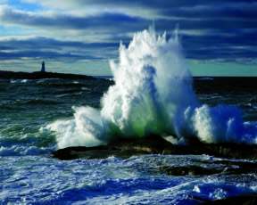 This photo was taken and later, someone pointed and said, "Look! There's a woman in the wave. Why, it's Peggy in the Wave."