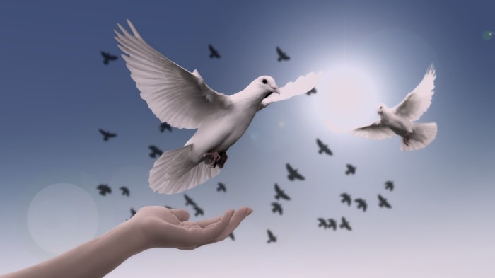 Peace May Seem Like an Unattainable Goal, but It's Never Too Late to Change Our Collective Mind and Give It a Chance.