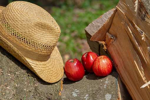 In his book, LIFE-CHANGING FOODS, medical researcher and Medical Medium, Anthony Williams states: "Try eating three apples a day. If you commit to this routine, you could see your health improve in unexpected ways."