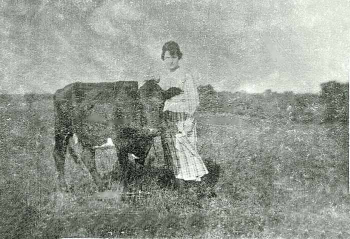 The cornmeal and potato muffins in the recipe below call for milk. Many families had their own cow at that time so the milk would have been their own.