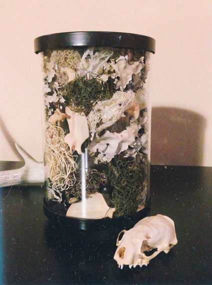 I'm sure you'll agree that this "craft" looks like the seller is trying to palm off leftovers to some gullible idiot.