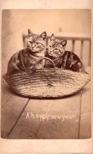 This vintage postcard is from the 1870's! What an interesting old card.