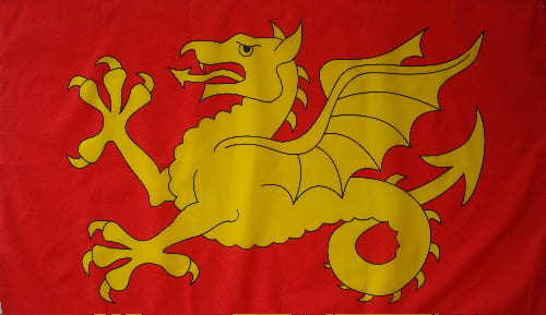 Wessex Wyvern, Harold's main banner. His 'Fighting Man' banner was sent as a memento to the Pontiff Alexander in Rome. It's still there.