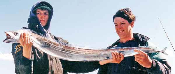 A good speciman of a Bumble Town Whitebait; caught on a rod using a concoction of freshly rolled BS supplied by the movers and shakers of the Bumble Town Business Ass.