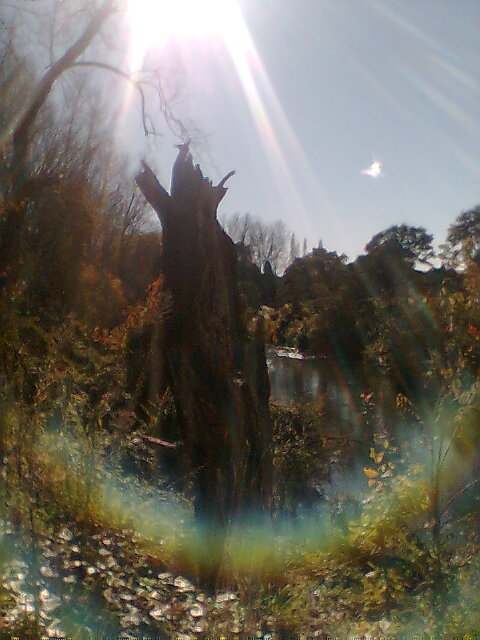 Several Long-lines are set across the Blackwater Stream, below the remains of the Light Traveller Bah-imamess-ok.