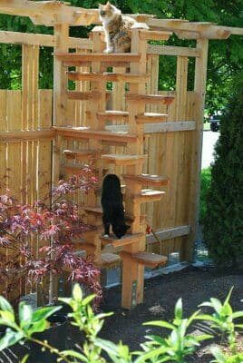 Outdoor Cat Playground Play Areas - HubPages