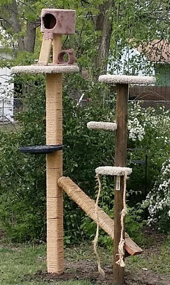 Outdoor Cat Playground Play Areas - HubPages