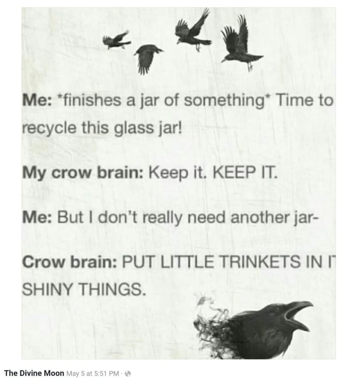 Having a crow brain can make for some happiness. But too strong a hoarding tendency is often born of fear. Which motive is yours?