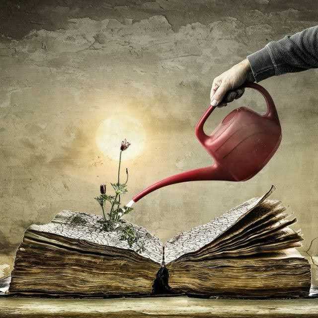 Most of us have secret dreams and expectations that we feel too vulnerable to share. The moment you decide to develop one of these dreams, you will find ways to water it.