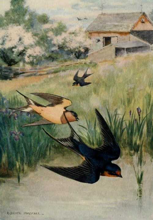 Ever since I was a child, I knew what sort of property I wanted. I kept clippings and cards which reminded me of it. As an adult, I realized that the theme was not "traditional farm", but "serenity". Define key concepts carefully.
