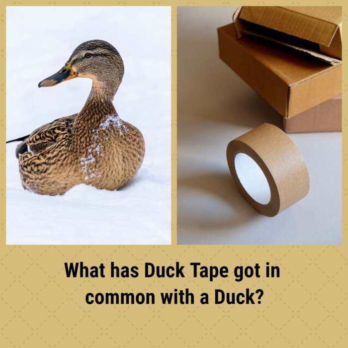 It's simply imponderable! What on earth has a duck and duck-tape in common?