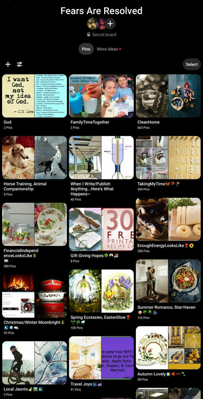 This Pinterest board represented my first serious efforts to imagine living a life without having fear in control. Mostly simple ideas?--yes--yet simplification is a principle of change and growth.