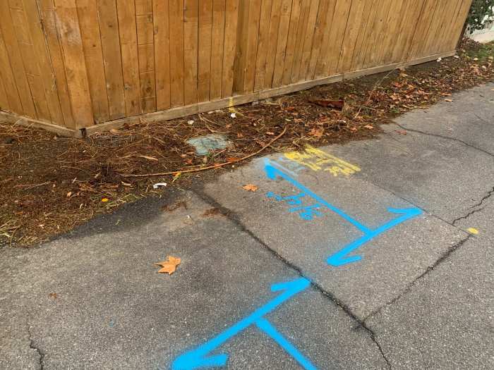 Workers had to spray paint the alleyway for their work. They ended up spraying part of my fence.
