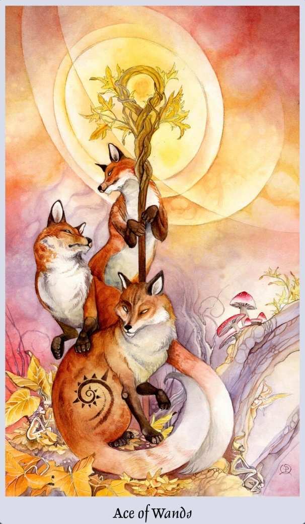 The Ace of Wands is an offer of inspiration, it is a call to change and possibility, it is the spark that sets the universe in motion. It promises vision, it promises benevolence, and it promises a worthwhile path.