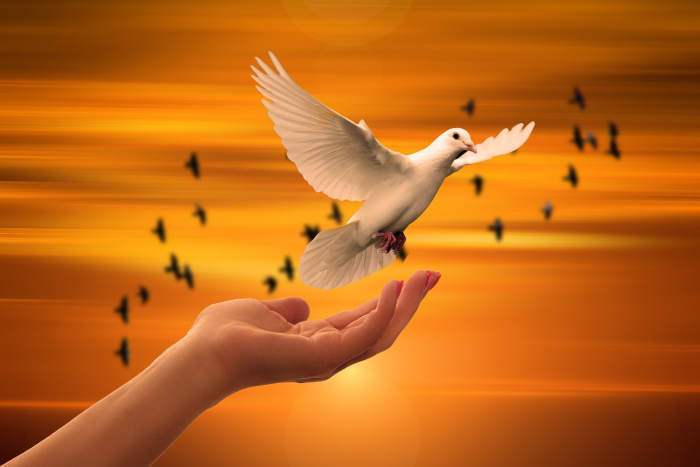 At Times of Deep Meditation Something Gets Liberated from the Depth of Our Essence. -- Val Karas