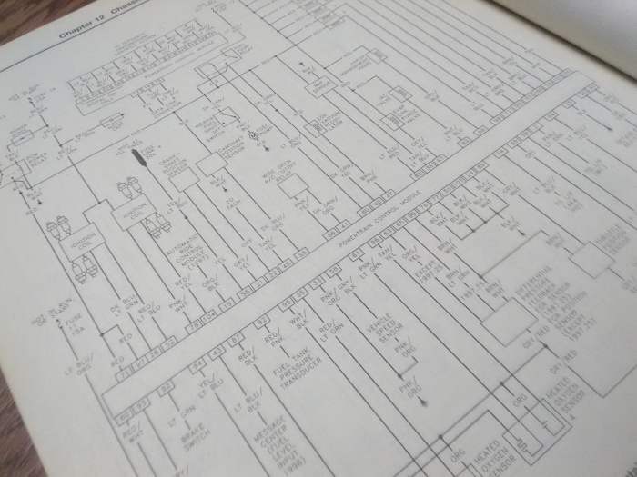 If necessary, use the electrical diagrams in your vehicle repair manual to check other related systems.