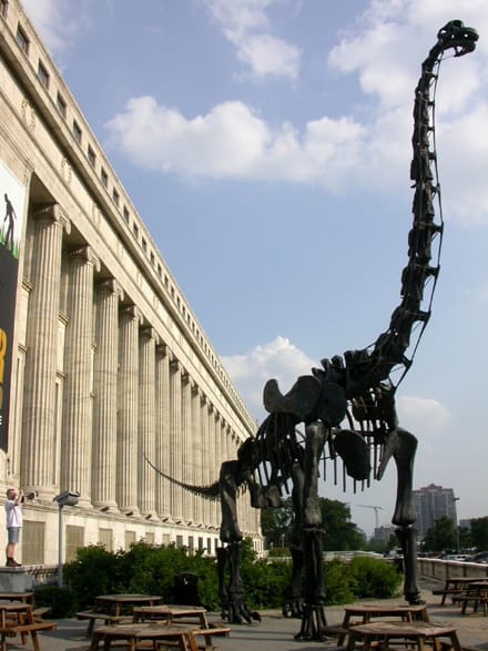 The "Evolving Planet" exhibit at the Field Museum takes visitors through a journey of 4 billion years of life of Earth.