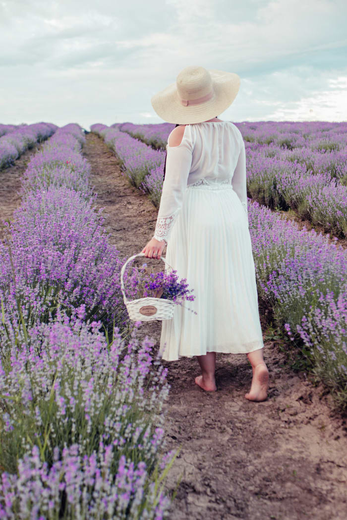Lavender's soothing herbaceous fragrance uplifts our spirits and takes our mind off of stress.