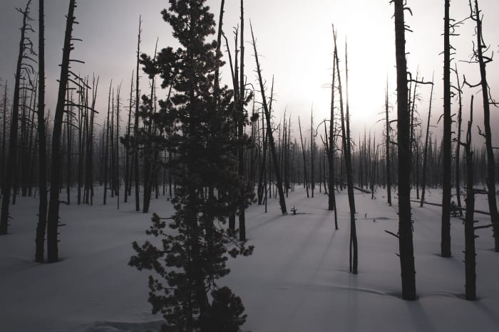 An area covered with snow and darkness and the photo represents a sort of doomsday situation. Cold and darkness is associated with doom and gloom.
