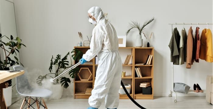 Aerosol disinfectant sales rose by 230.5% while the sale of multipurpose cleaners increased by 109.1% between March and April