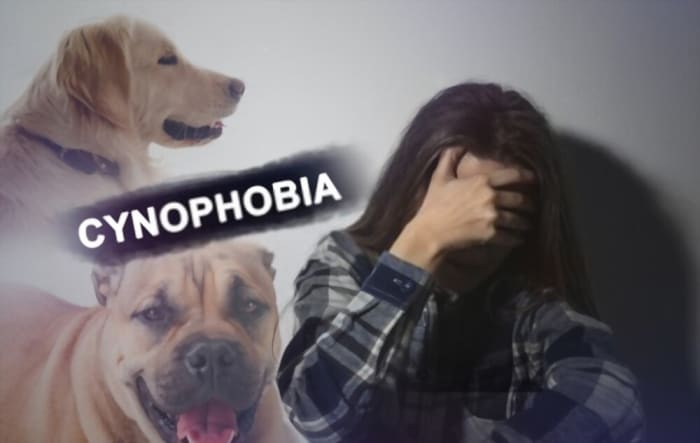 Cynophobia