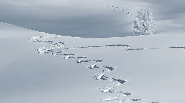 A dream pillow can connect us to our garden when nature is slumbering beneath winter's snow.