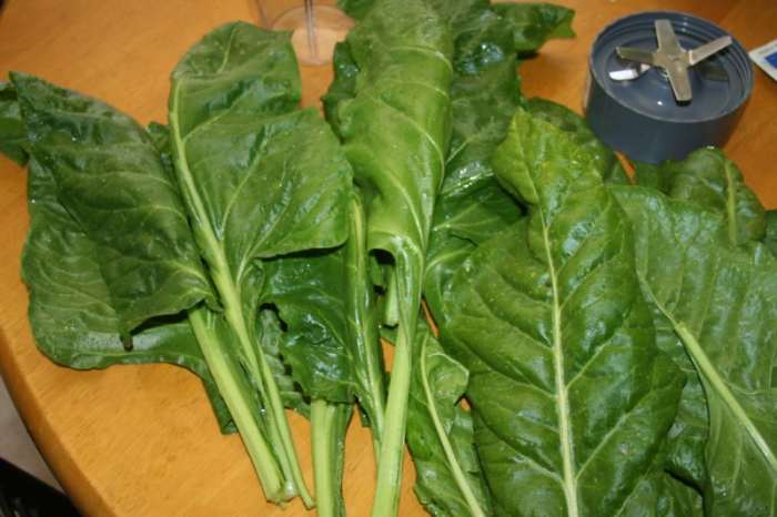 Now we know why eating leafy greens can help reduce the symptoms of many chronic illnesses. The folate found in natural green foods can help your body's vital methylation process.