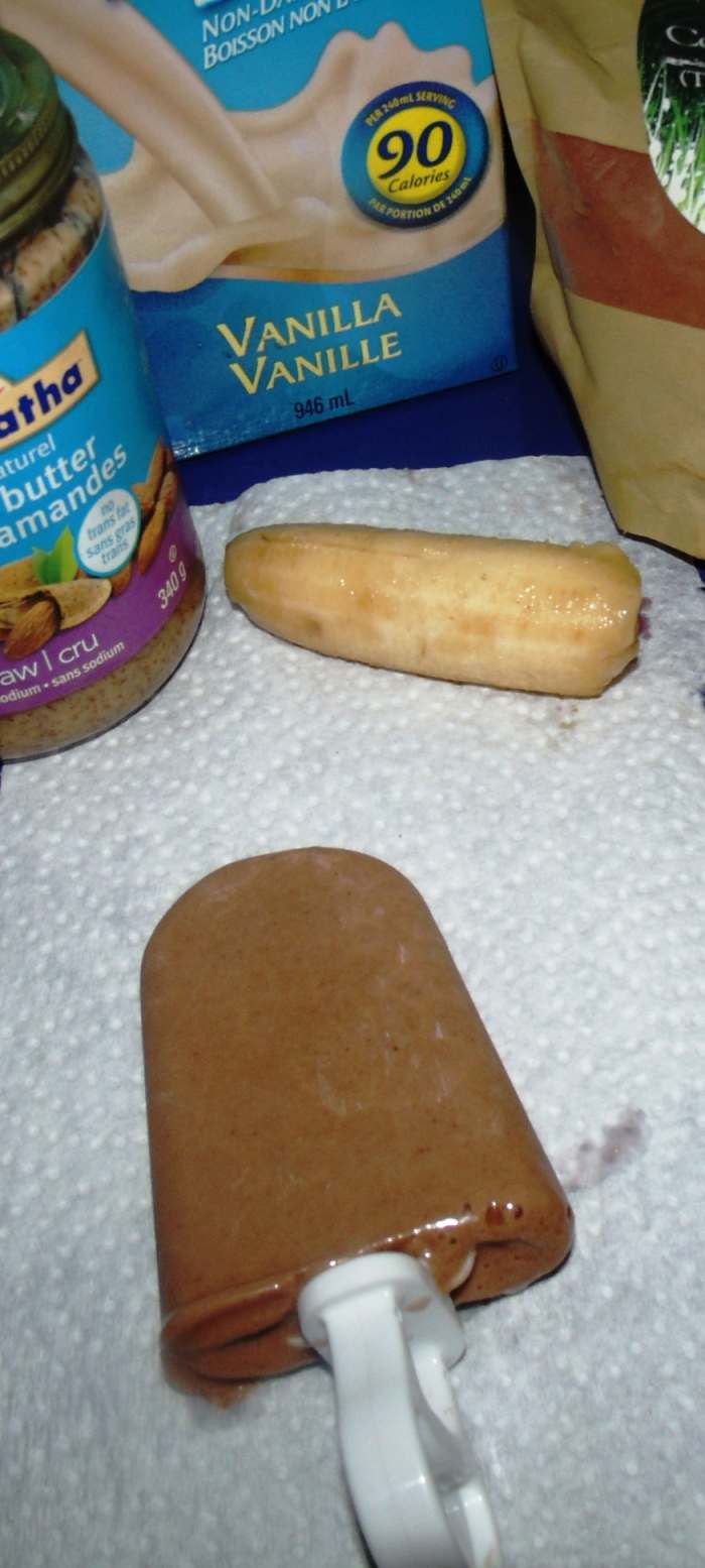 Delicious AND Healthy Coco-Almond-Banana Frozen Smoothie Treat-- Dairy-Free, Gluten-Free, No Fructose, No Preservatives