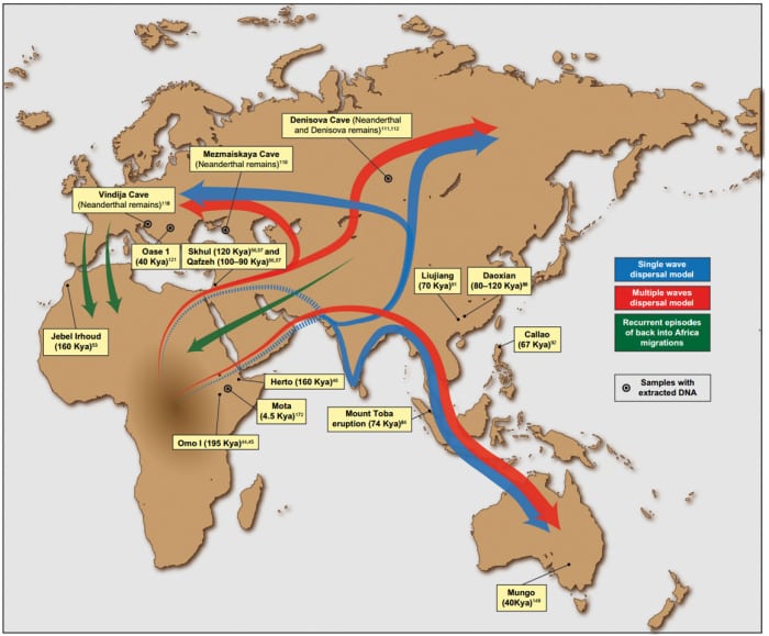 Saioa López, Lucy van Dorp and Garrett Hellenthal, Putative migration waves out of Africa, CC BY 3.0