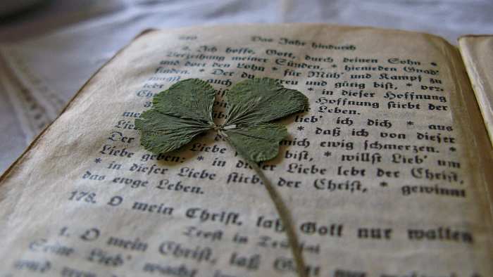 In the Middle Ages it was believed a person carrying a four-leaf clover had the ability to see fairies.