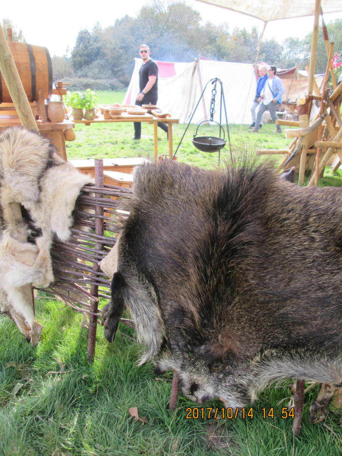 Another part of the 'Hildsvin' group's camp at the head of the field, with wicker fences overlaid by pelts.