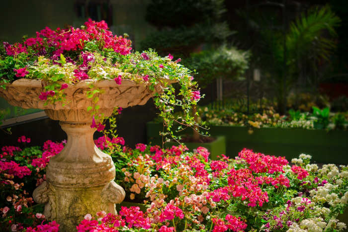 Beauty of Nature Has the Power to Bring the Best Out of Us -- Val Karas