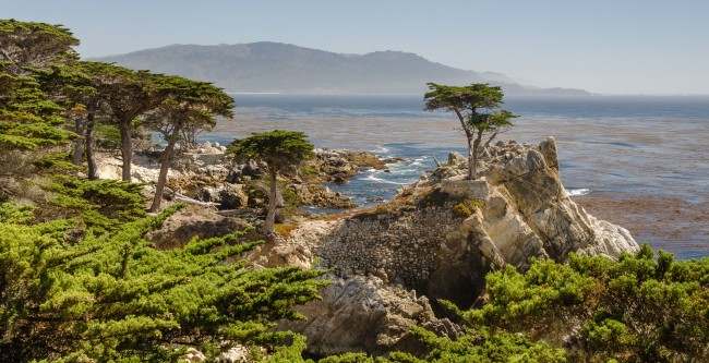 One of the most well-known scenic drives in the world is 17-Mile Road. It goes through the guarded neighborhood.