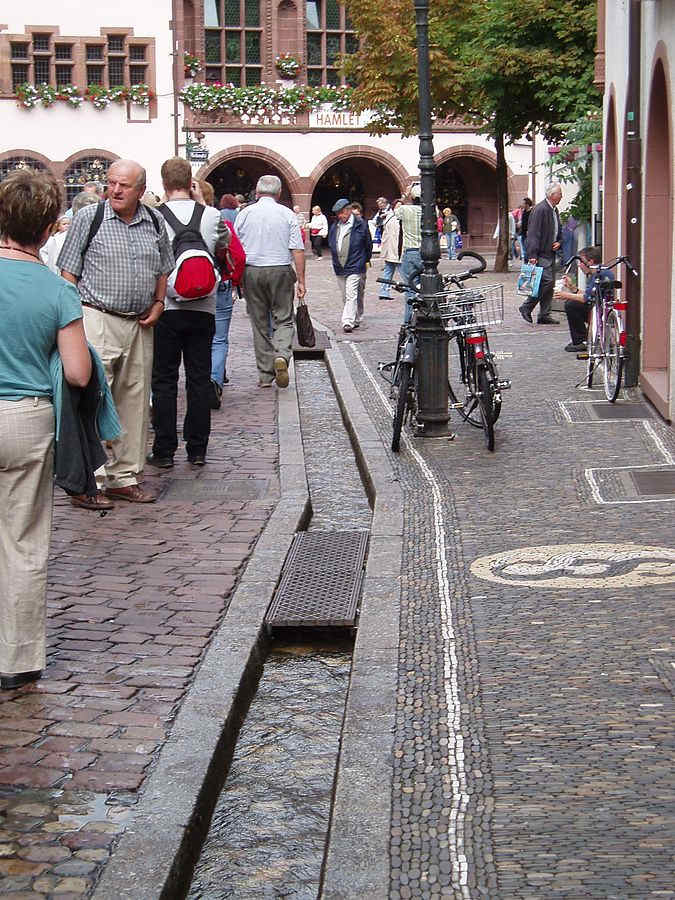Rainwater runoff runs through channels in the streets of Freiburg.