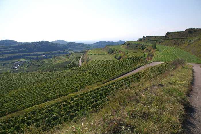 Kaiserstuhl terrain