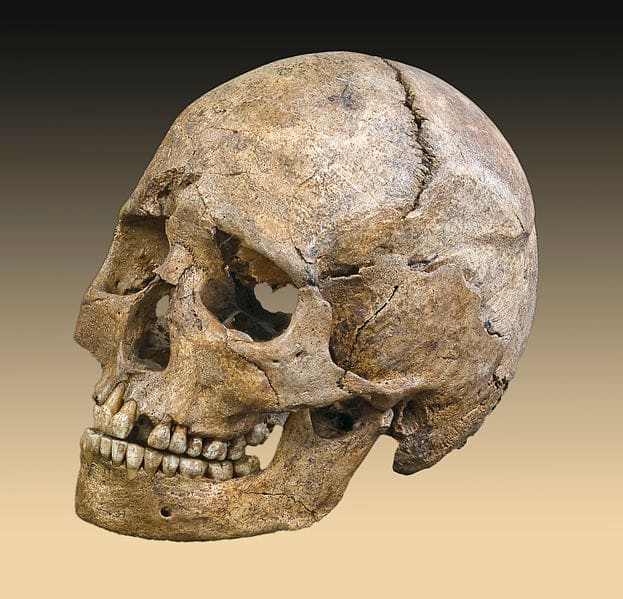 The house looked empty there, not in a harmless way, but like a skull is empty.