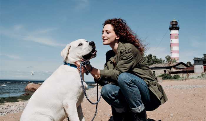 Obedience training counters this by making it clear to the pet that you are the leader of the pack.
